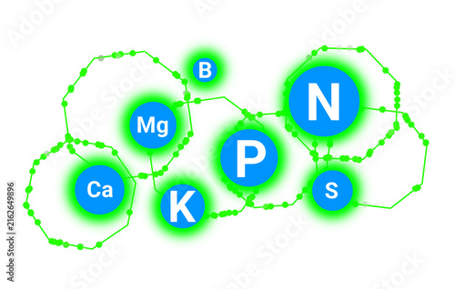 Colorful illustration of essential plant nutrients including nitrogen, phosphorus, potassium, calcium, magnesium, sulfur and boron