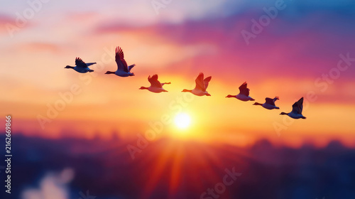 Flying birds at sunset create serene and picturesque scene, showcasing nature beauty and tranquility