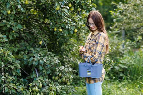 Foto Enjoying harvest time in a lush orchard
