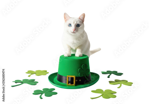 A white cat sitting on a green leprechaun hat surrounded by shamrock clover leaves isolated on transparent background