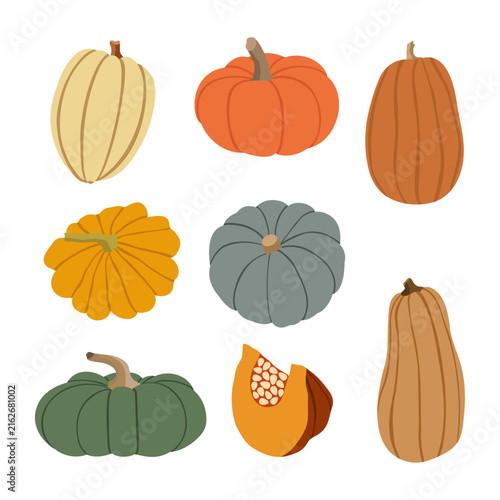 Pumpkin and squash collection with colorful autumn gourds