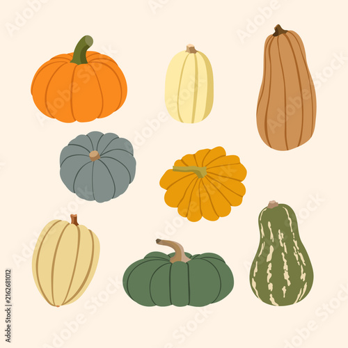 Pumpkin collection with colorful autumn squash and gourds