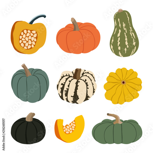 Colorful pumpkin and squash collection with sliced pumpkin and gourds