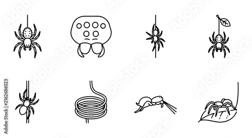Spider Icons Set, Arachnid Vector Graphics, Insect Line Art Collection, Halloween and Nature Elements
