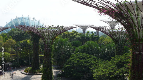 Gardens by the Bay Singapore Supertrees Tropical Oasis