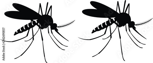 Two black mosquitoes flying side by side