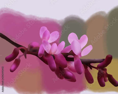 Fotografía Delicate pink purple flower buds adorn the slender branch of a Cercis chinensis Shirobana, a stunning Pink Chinese redbud tree, against a natural background