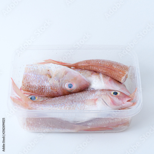 Fresh raw red fish in a clear plastic container isolated on a white background