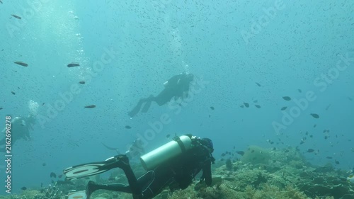 Divers explore a vibrant coral reef during a daytime dive. The location is rich in marine life, with various fish swimming around the divers. The light blue water enhances visibility.