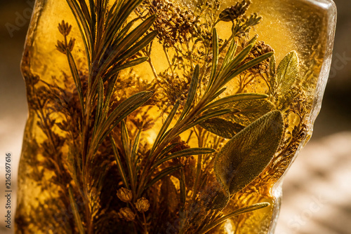 Translucent amber resin containing sprigs of rosemary and other herbs.