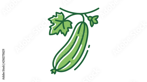 Cucumber Vegetable Vector Illustration
