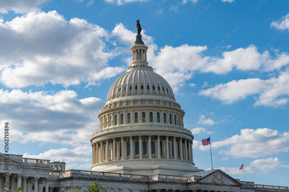 Fototapeta premium Historic Capitol by the national flag. Capitol dome as symbol of law. Washington monument architecture. Washington DC. US Senate. Federal government in the nation capital