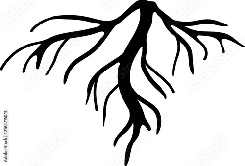Black silhouette of root isolated on white background