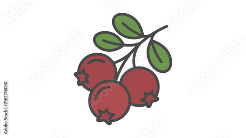 Cranberries on a Branch Vector Illustration