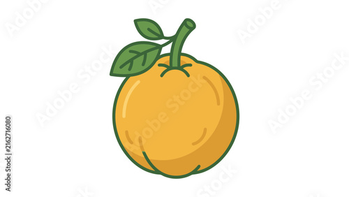 Orange Fruit Flat Vector Illustration