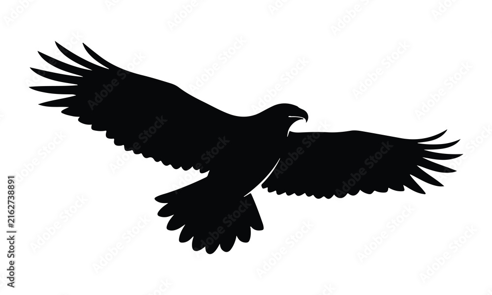 Obraz premium Silhouette of a majestic eagle soaring through the sky with wings fully extended