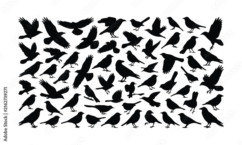 Fototapeta premium Large flock of black birds in flight against a white background illustration