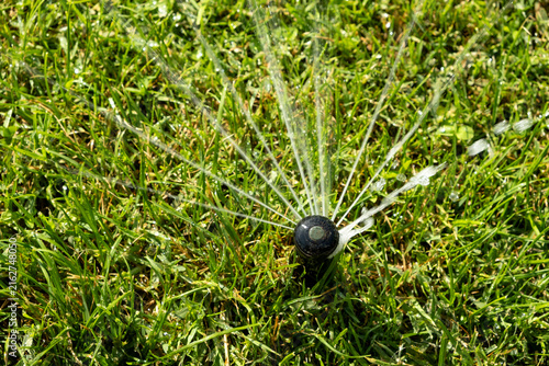 Water sprinkler spraying jets of water on vibrant green grass.