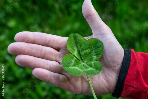 Fotografía Four leaf clover held in a person’s hand against a green natural background, symbolizing good luck, fortune and happiness