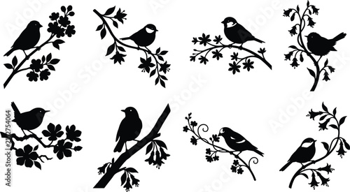 Collection of black bird silhouettes perched on flowering tree branches with spring blossoms isolated on white background