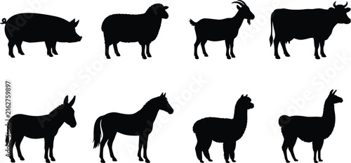 Farm animal silhouettes illustration featuring pig, sheep, goat, cow, donkey, horse, alpaca, and llama for agricultural and educational use