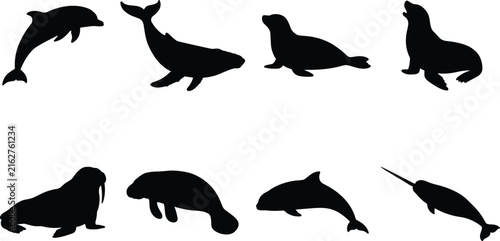 Marine Mammal Silhouettes Featuring Dolphin, Whale, Seal, Sea Lion, Walrus, Manatee and Narwhal for Aquatic Design
