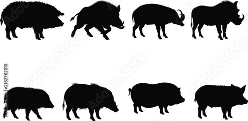 Pig and boar silhouettes illustration featuring domestic pigs, wild boars, and warthogs with distinct tusks, tails, and body shapes