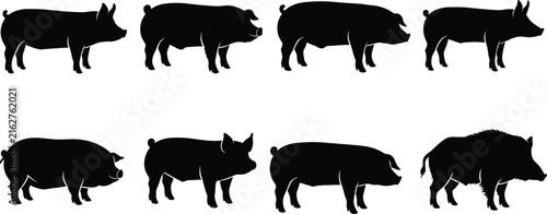 Pig and boar silhouettes illustration featuring domestic pigs and wild boars with distinct body shapes, snouts, ears, and tusks