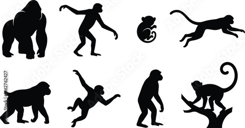 Primate Silhouettes Featuring Gorilla, Chimpanzee, Baboon and Tree-Climbing Monkeys