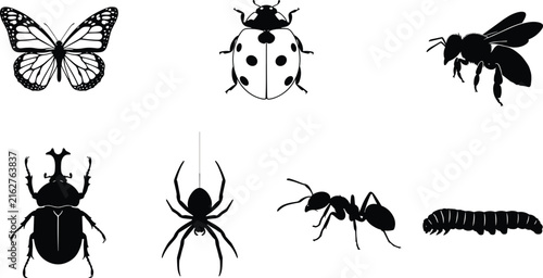 Set of black insect and bug vector silhouettes featuring butterfly, ladybug, bee, beetle, spider, ant, and caterpillar