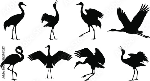 Set of black silhouettes of large wading birds including cranes and flamingos in various flying and standing poses