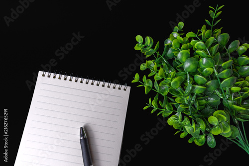 Blank spiral notebook and artificial green plant on black background