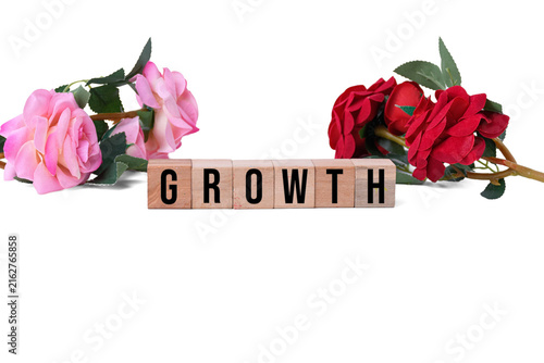 GROWTH word written on wooden blocks with red and pink roses isolated on white