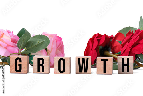 GROWTH word written on wooden blocks with red and pink roses isolated on white