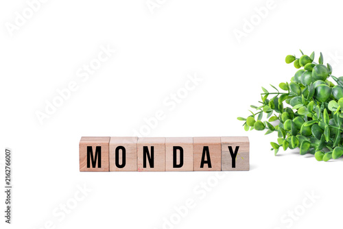 The word Monday written with wooden alphabet blocks next to a green plant on white background