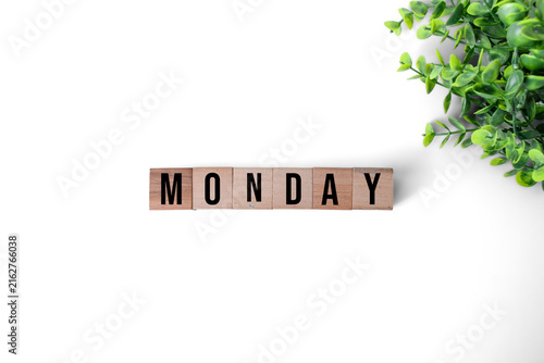The word Monday written with wooden alphabet blocks next to a green plant on white background
