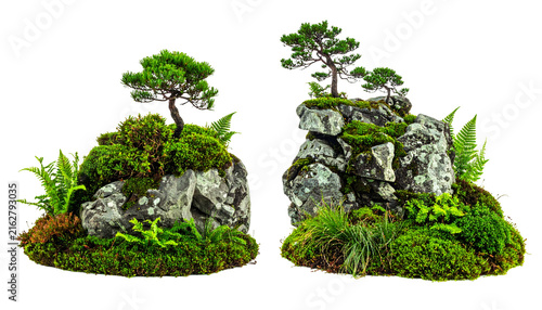 Two miniature rock formations with vibrant green plants and small trees isolated on a transparent background