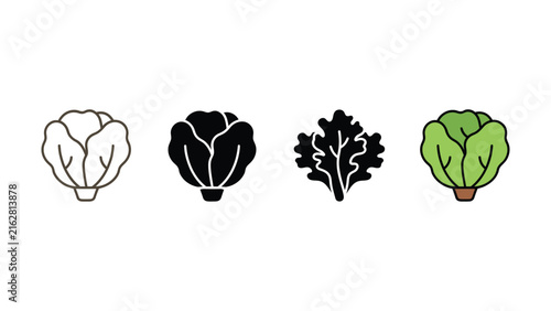 Set of cabbage and lettuce icons in line solid and colorful graphic styles