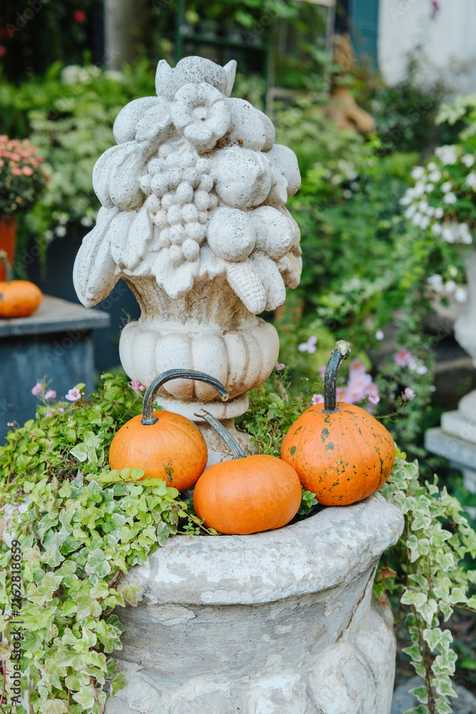 Fototapeta premium Harvest pumpkins nestled in lush ivy plant decor on stone urn with ornate fruit sculpture
