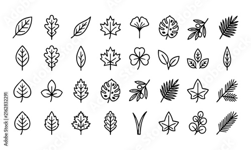 Set of various hand drawn leaf icons for nature design elements and botanical illustrations