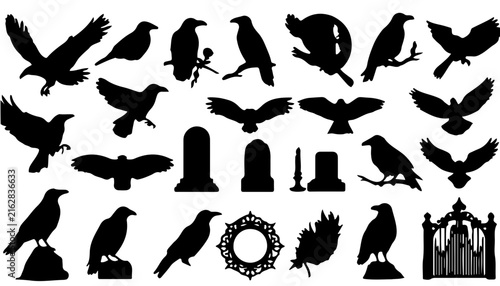 Black Animal and Bird Silhouettes Set, Flying Wildlife Vector Collection with Eagle, Dove, Pigeon and Sparrow Shapes for Nature Illustration, Icons and Design