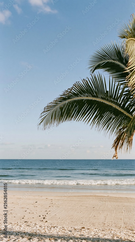 Fototapeta premium Palm frond arching over a serene tropical beach with soft sandy shores and a peach-colored sky, perfect for travel banners and copy space