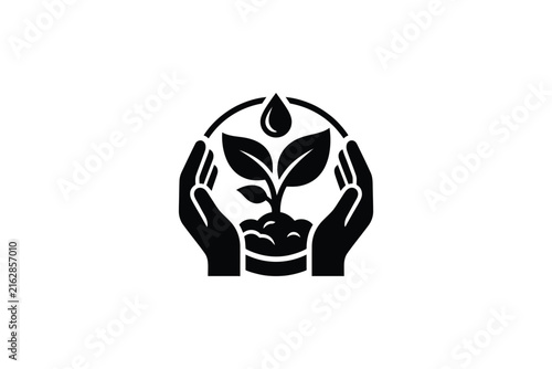 Hands protect growing plant with water drop above.
