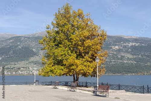Quadro su tela The embankment of the city of Ioannina (northwestern Greece)  by the lake Pamvot