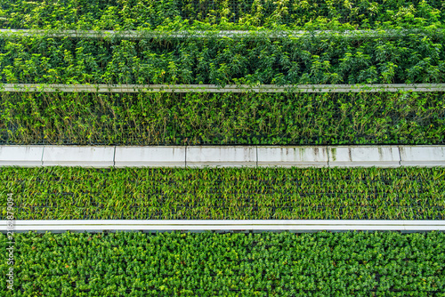 Фотография Close up of planted vertical garden facade in Shenzhen city, China