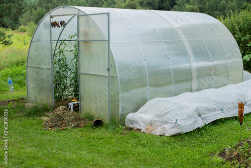 greenhouse in a home vegetable garden with young tomato plants growing inside and garden beds covered with protective fabric outside. A practical backyard gardening setup for growing vegetables
