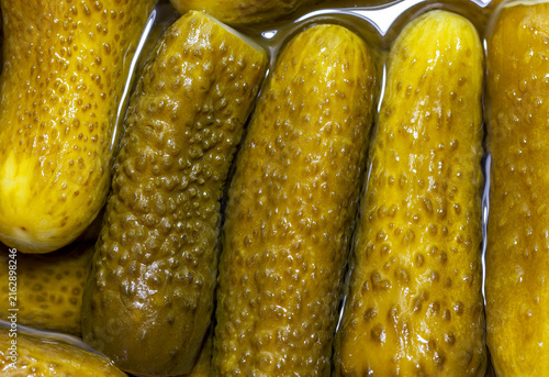 Fotografie Detailed closeup of several whole pickled cucumbers packed tightly in clear brin