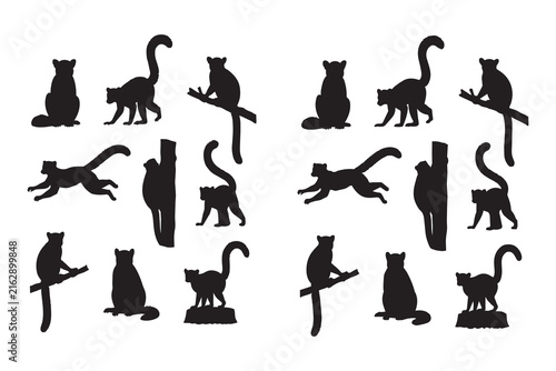 Set of black lemur animal silhouettes in different poses