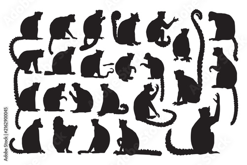 A collection of black lemur silhouettes in various poses isolated on a white background. This graphic set is also isolated on a transparent background.