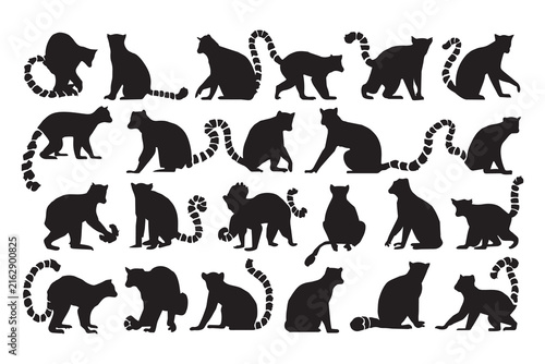 A collection of black ring-tailed lemur silhouettes in various poses, isolated on a white background and suitable for a transparent background.